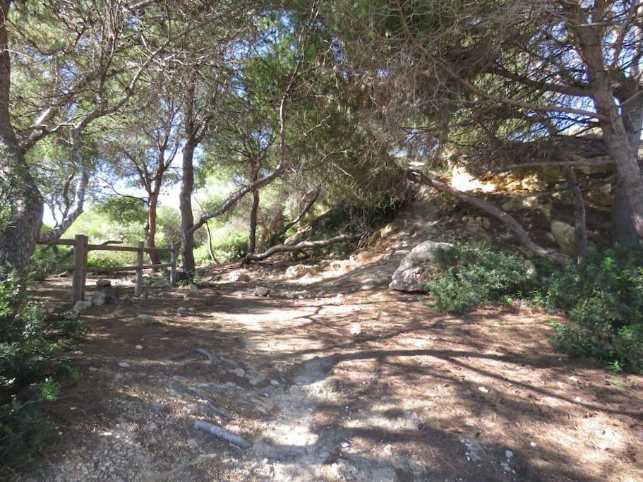 Coqueto Alojamiento Con Banera De Hidromasaje Lägenhet Tarragona Exteriör bild